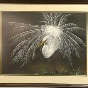 Eager Egret