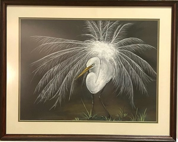 Eager Egret