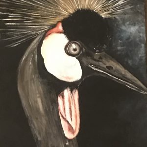 Whisper of the Plumage